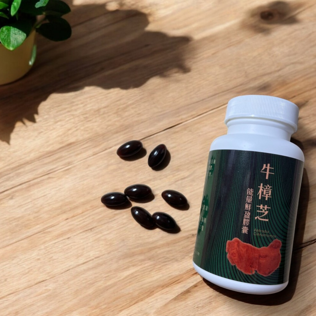 YOUCAN® I Antrodia Cinnamomea Energy Capsules – Thryve, image size:1080x1080