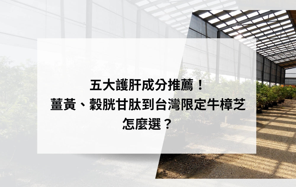 五大護肝成分推薦